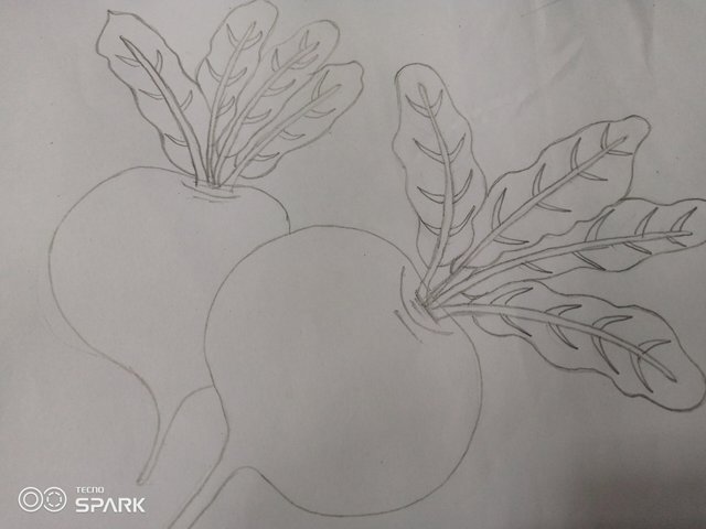 IMG_20250630_130917_097.jpg