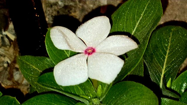 20241210_021831.jpg