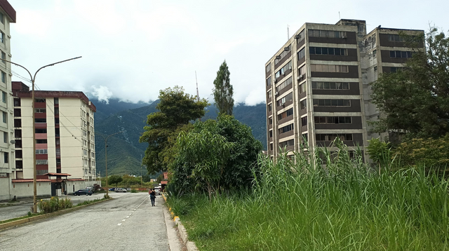 Captura de pantalla 2025-07-08 201457.png