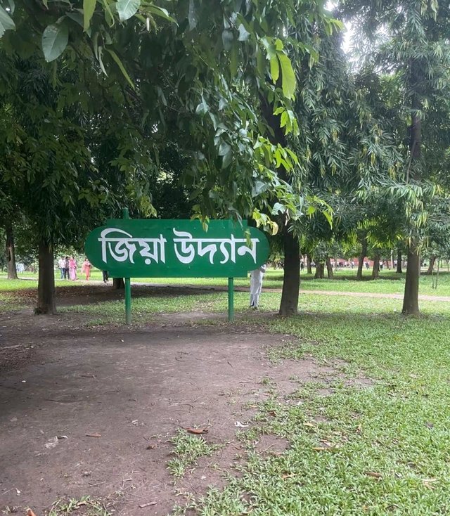 4197.jpg