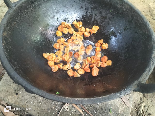 IMG20250613084524.jpg