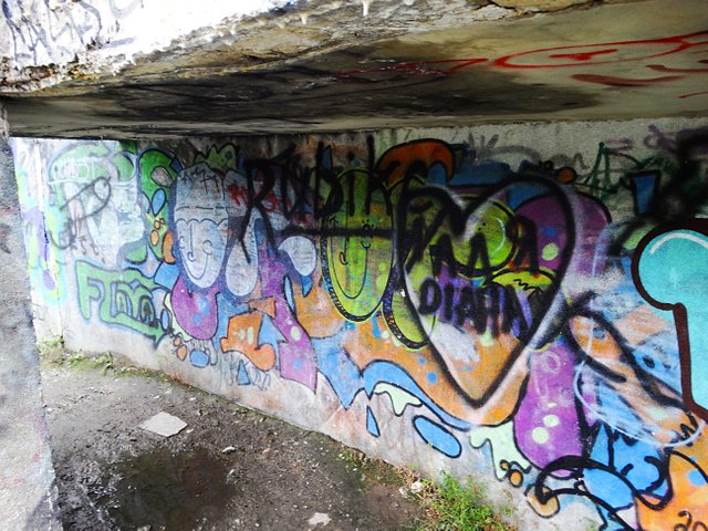 DSC07411.JPG