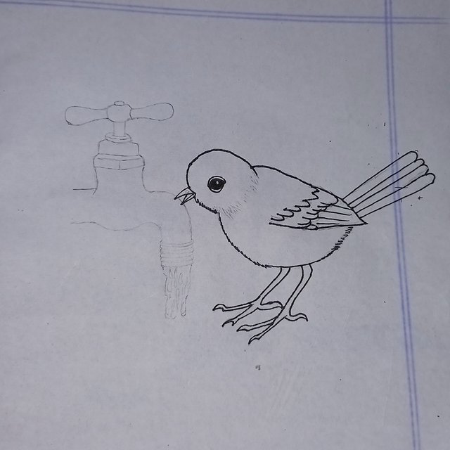 20250924_114211.jpg