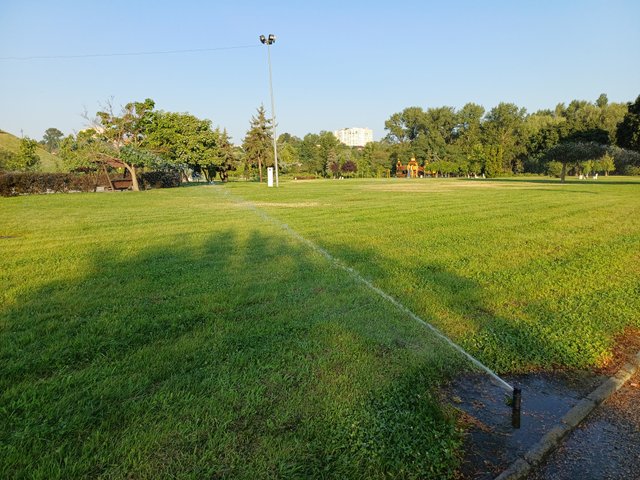 20250806_071250.jpg