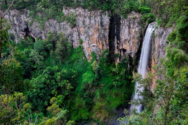 Springbrook national park.jpg