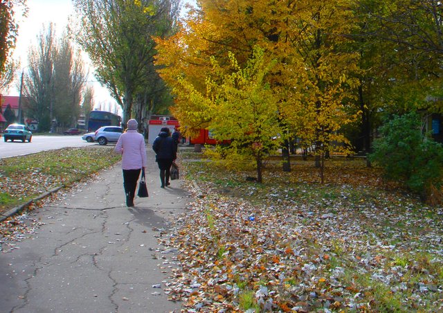 DSC03540.JPG