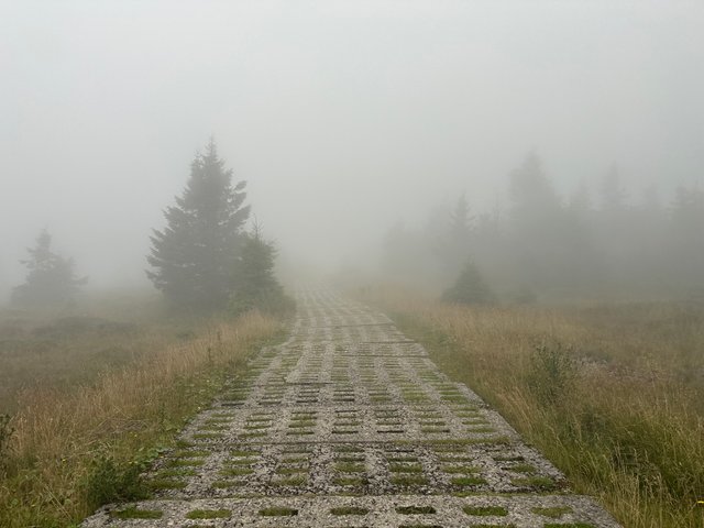 IMG_0144.jpeg