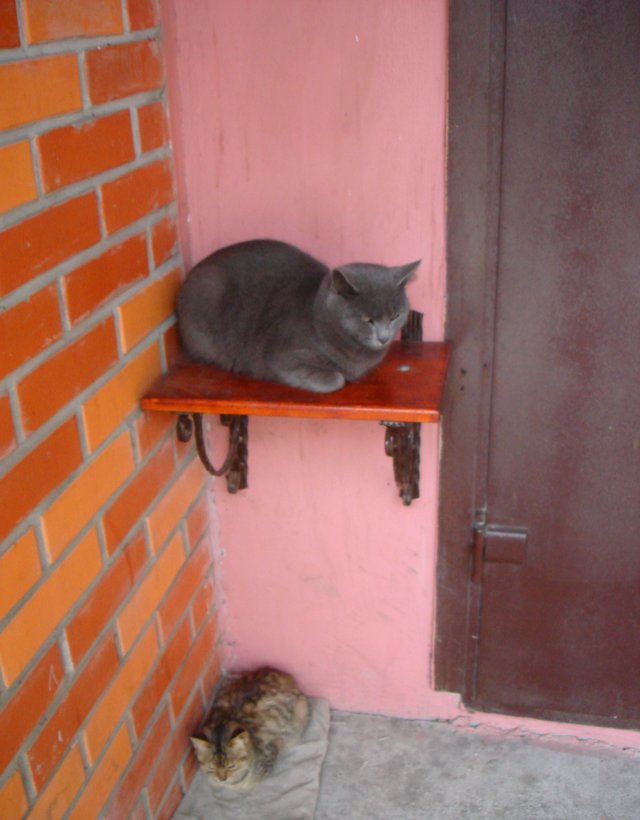 DSC03452.JPG