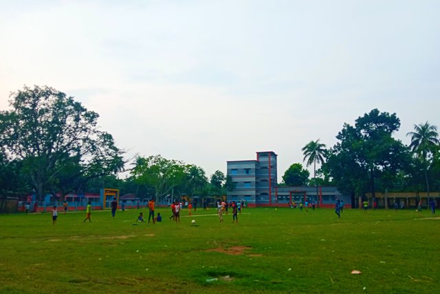 IMG_20250601_213726.jpg