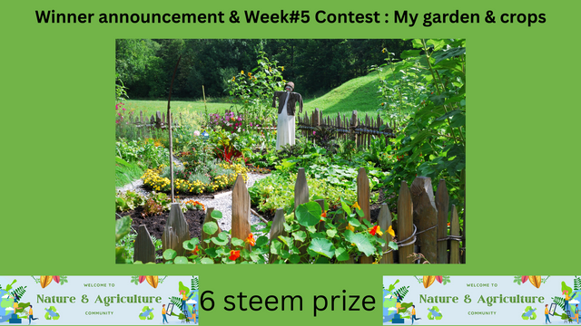 Week#4 & new contest My garden & crops.png