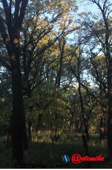 fall colors trees fontenelle forest landscape Fall0008.jpg