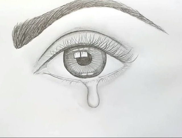 Human eye illustration, Eye Scleral tattooing Drawing Epiphora, Watering  eyes, people, human Eye png | PNGEgg