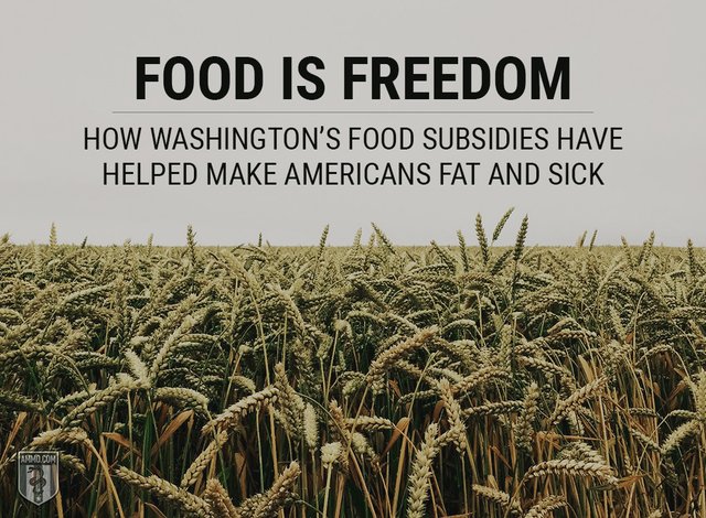 food-subsidies-washington-making-americans-fat-sick-hero.jpg