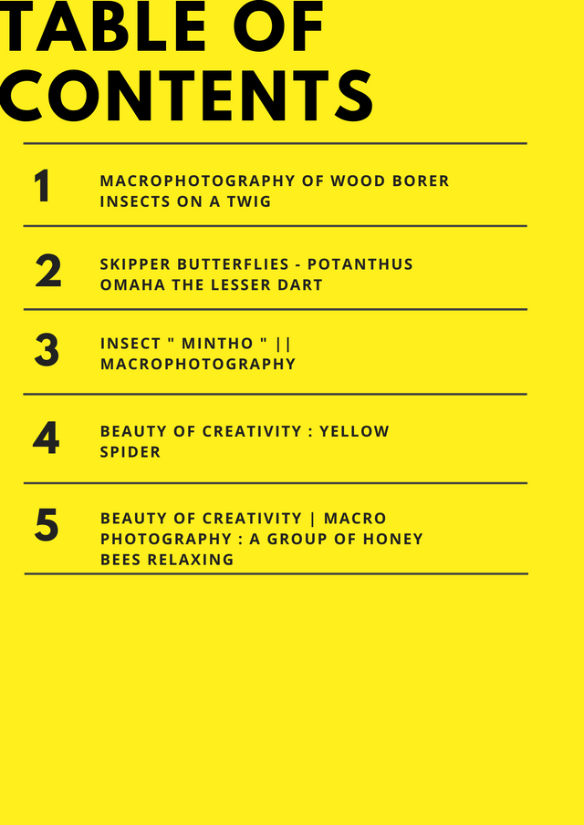 Bright Yellow and Black Fruit Table of Contents.png
