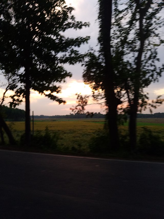 IMG_20250430_181800.jpg