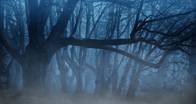 the-dark-forest-full.png