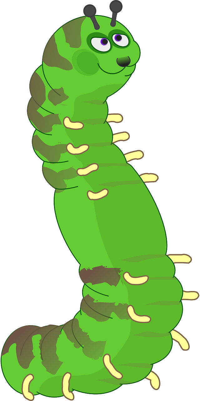 caterpillar-158701_1280.png