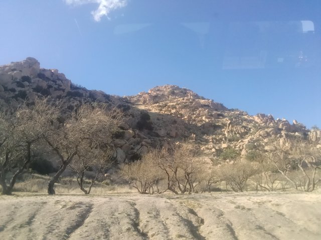 IMG_20220304_163300_234.jpg