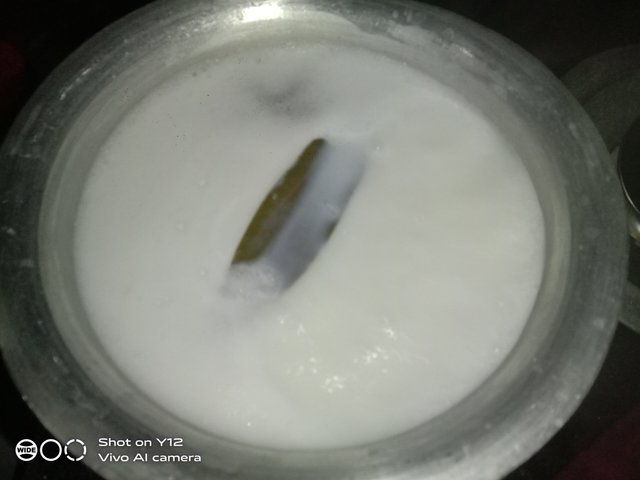 IMG_20250725_200728.jpg