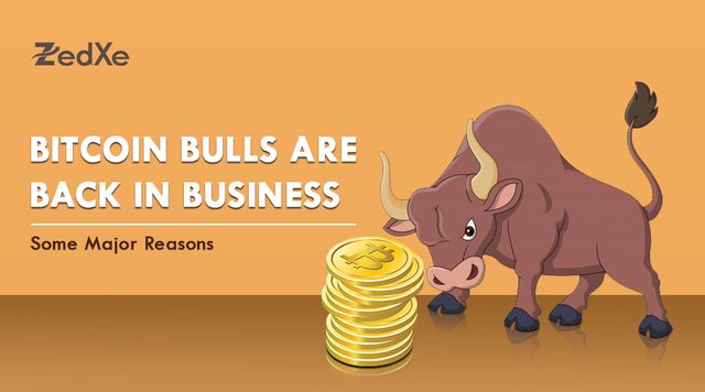 Bitcoin-Bulls-are-Back-in-Business-Some-Major-Reasons1.jpg