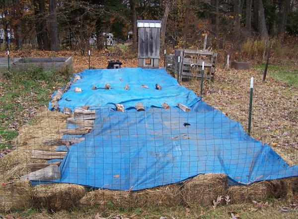 Small garden - tarps down crop October 2019.jpg