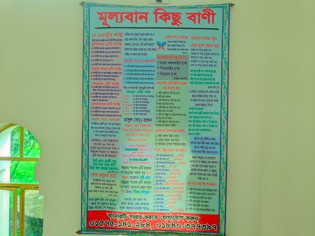 1000123164.jpg