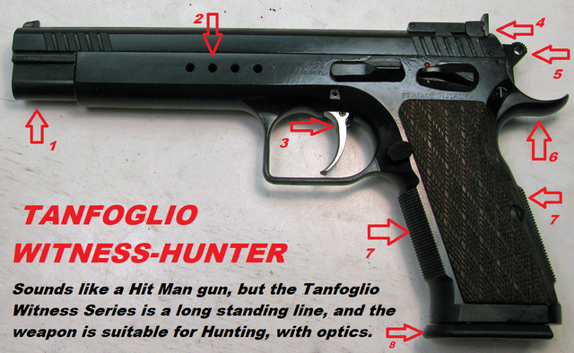 10mm TANFOGLIO WITNESS HUNTER annotated.png
