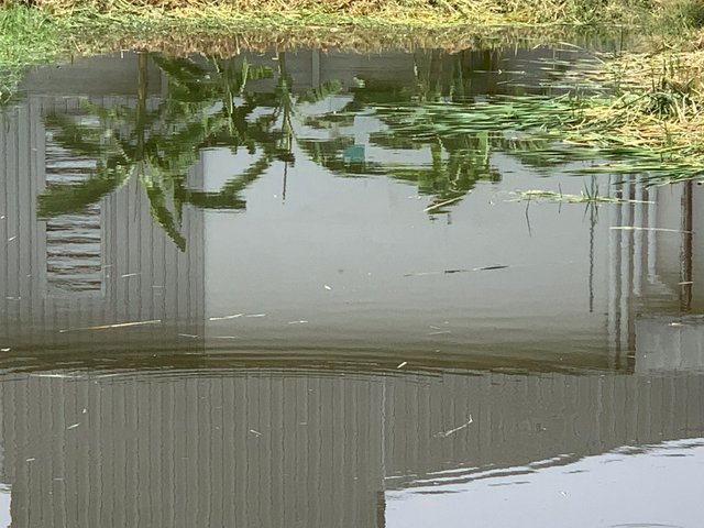 nature15.jpg