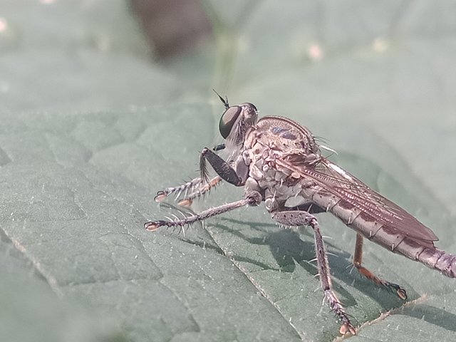 IMG20250703113630.jpg