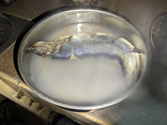 1000910307.jpg