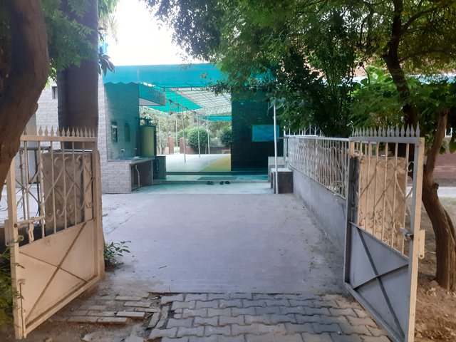 20250518_182901.jpg
