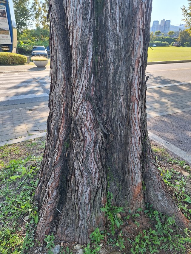 1000032427.jpg