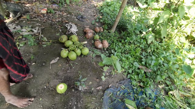 IMG_20241207_130535.jpg