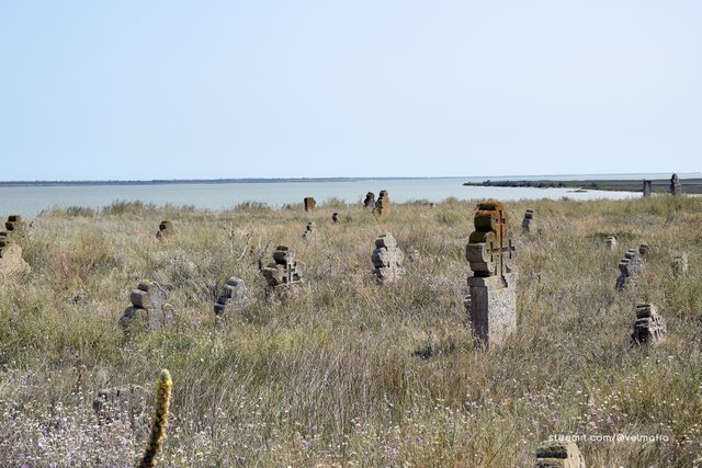Liman Sasyk, and Cossack gravestones