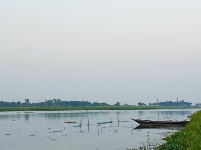 IMG_20250429_204047.jpg