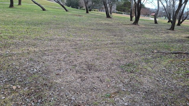 20250721_124754.jpg