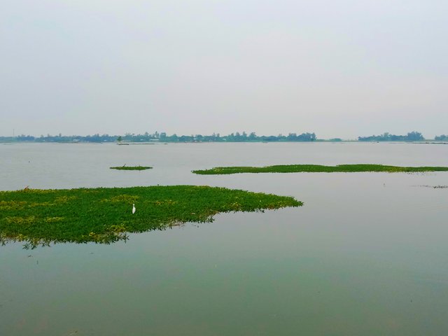IMG_20251001_084732.jpg