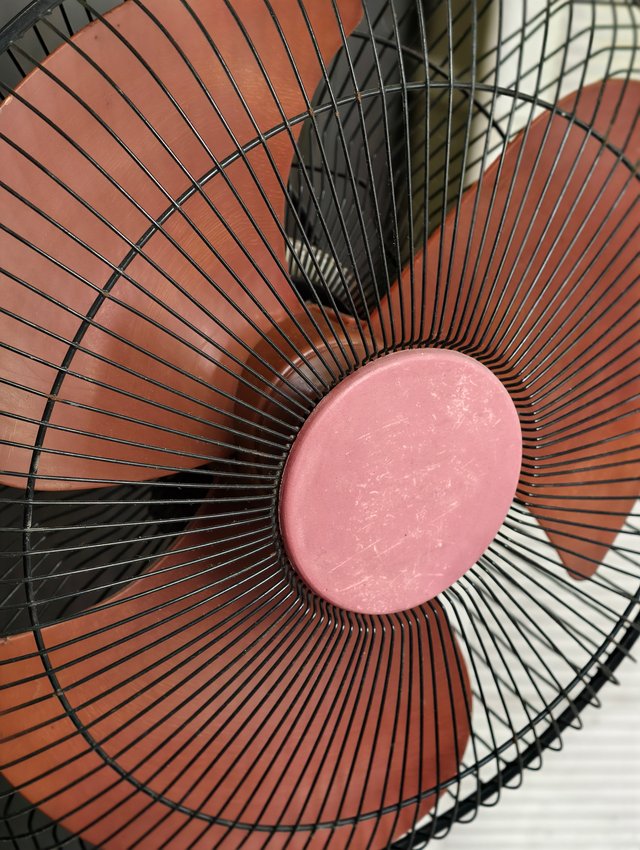 1000009958.jpg
