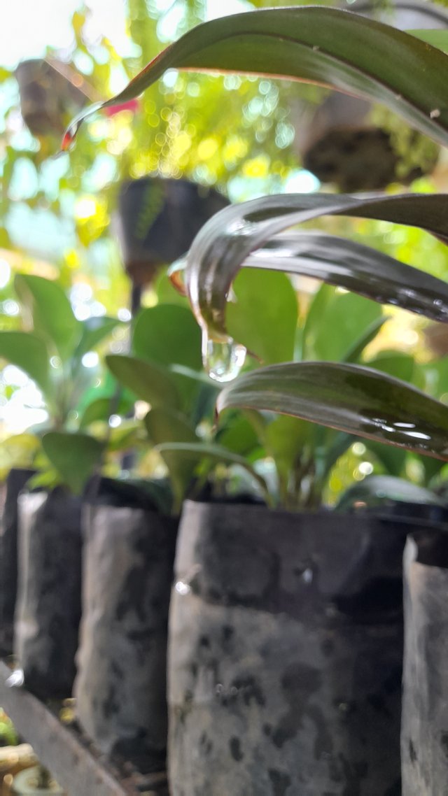 20250714_120336.jpg