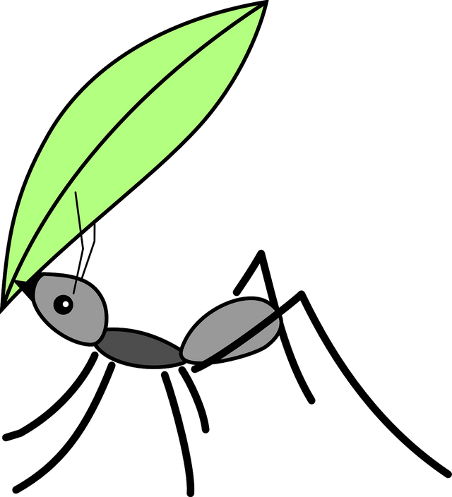 ant-162000_1280.png