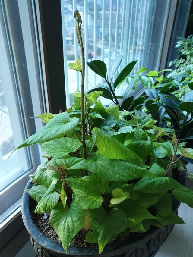 KakaoTalk_20200115_134131466_06.jpg