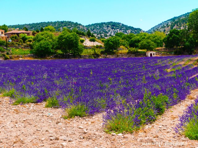 P1230481_edited.jpg