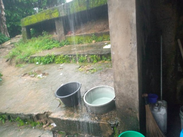 IMG-20250928-WA0029.jpg