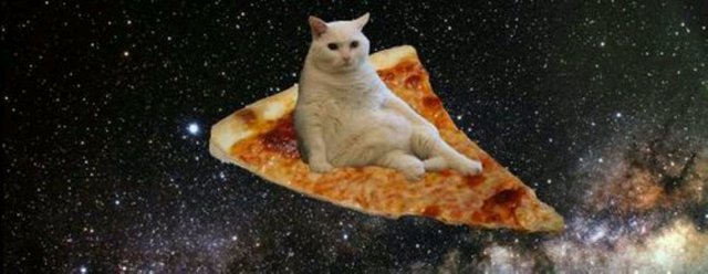 space cat.jpg