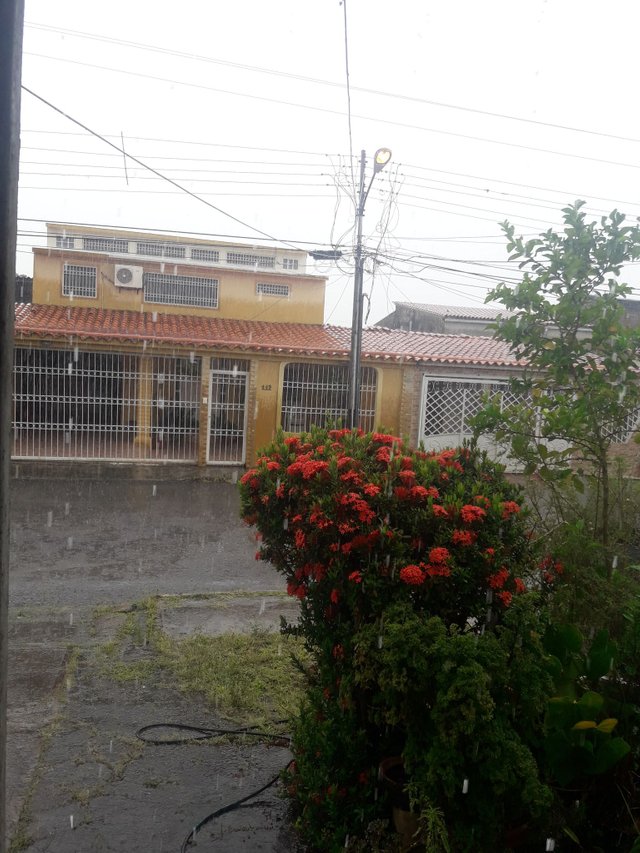 LLoviendo.jpg