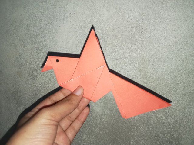 1000031595.jpg