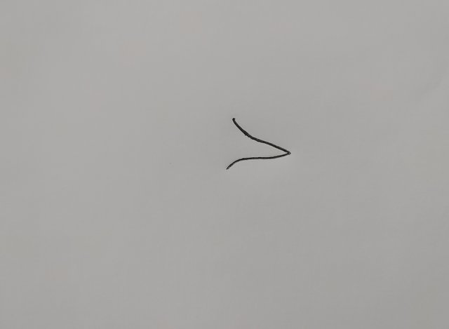 1639546706345-01.jpeg