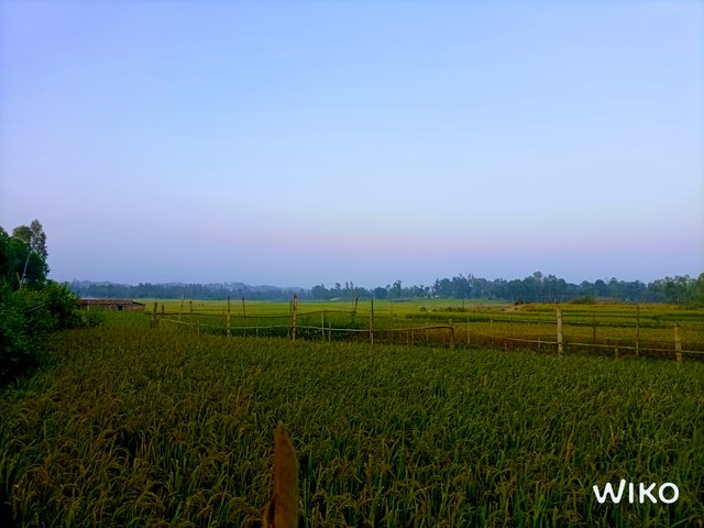 IMG_20240413_180000176.jpg