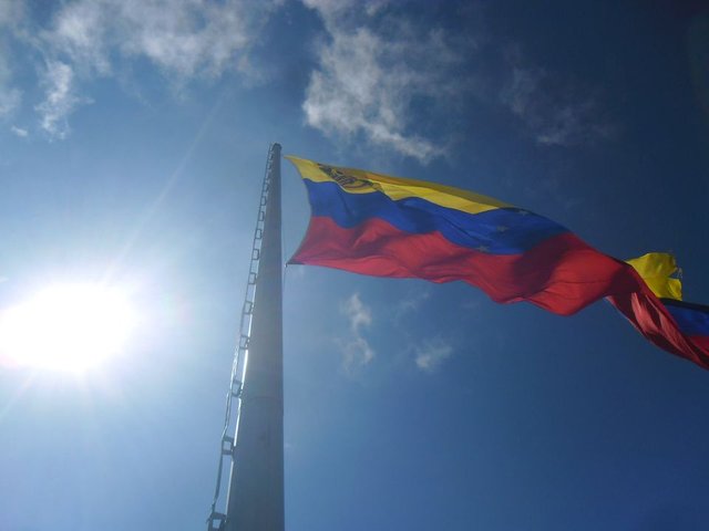 bandera en el avila.jpg