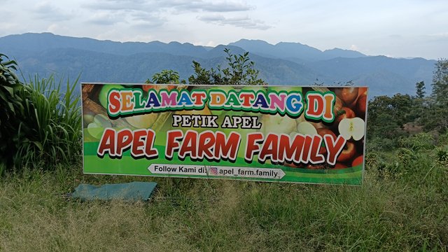 IMG20250727162833.jpg